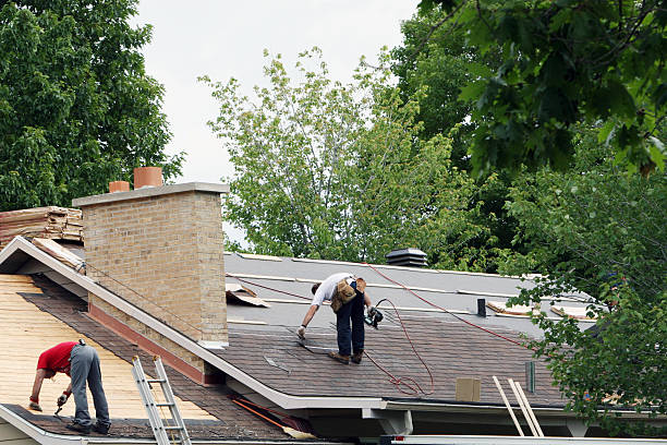 Best Roof Restoration Services  in Grosse Pointe Woods, MI