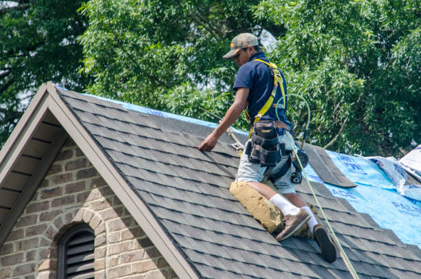 Roof Waterproofing Services in Grosse Pointe Woods, MI
